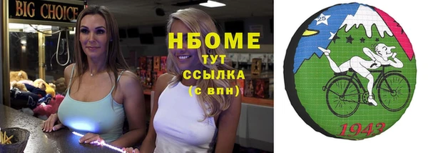 эйфоретик Бородино