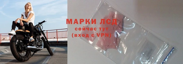 эйфоретик Бородино