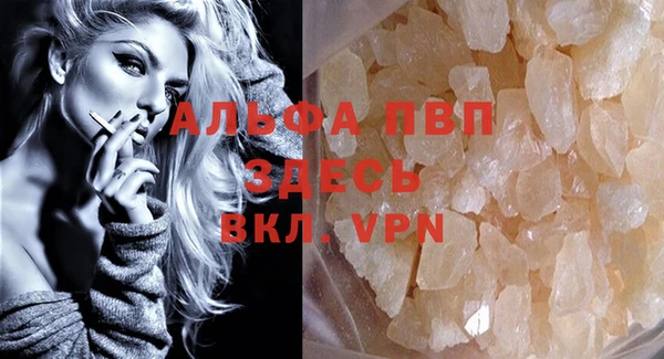 эйфоретик Бородино
