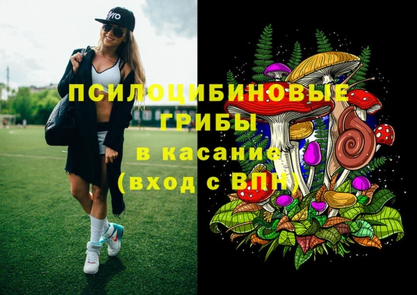mix Слюдянка