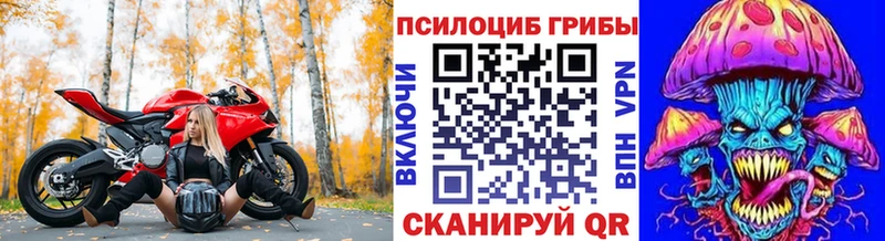 цена Можайск Псилоцибиновые грибы ЛСД