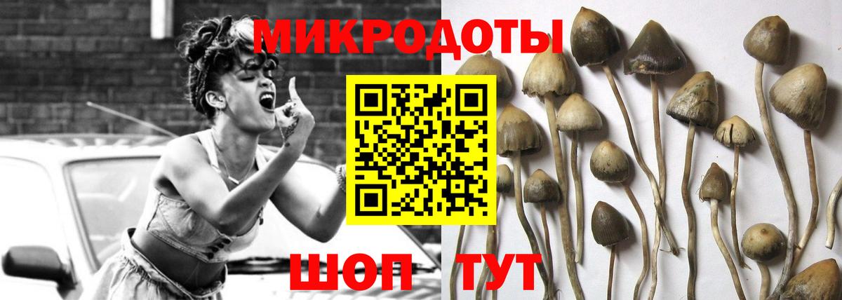 Галлюциногенные грибы прущие грибы  Вход с VPN  Можайск 